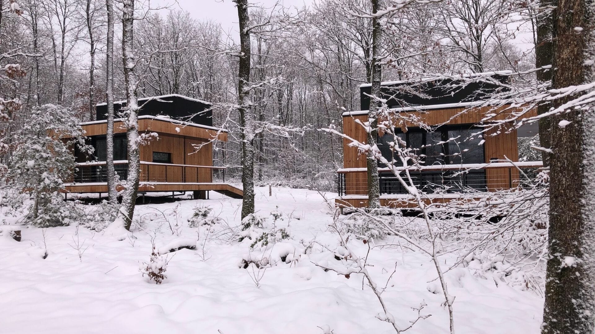 Pavillon en bois durable confortable et moderne - Namur